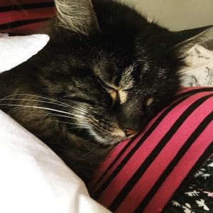 Meet your Posher, Marcia